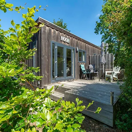 In Texel Near And Forest