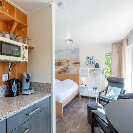 In Texel Near And Forest Vakantiehuis *