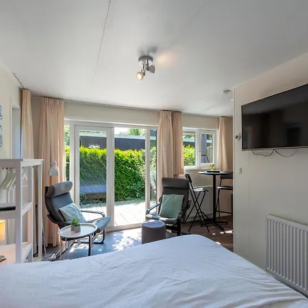 In Texel Near And Forest *