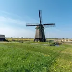 In Texel Near And Forest *