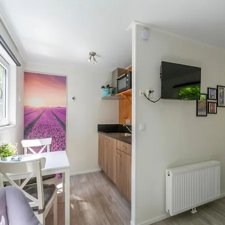 In Texel Near And Forest Sint Maartensvlotbrug