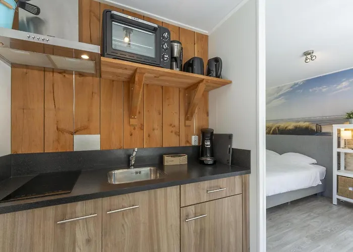 In Texel Near And Forest *