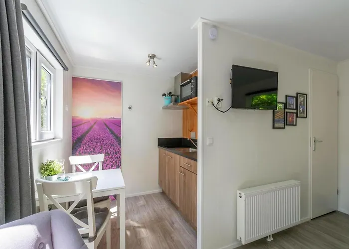 In Texel Near And Forest Dom wakacyjny Sint Maartensvlotbrug