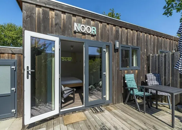 In Texel Near And Forest *