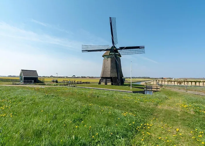 In Texel Near And Forest *