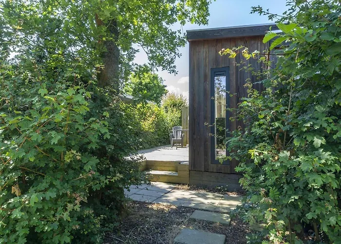 In Texel Near And Forest