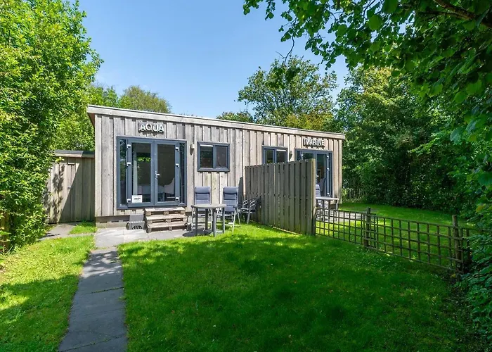 In Texel Near And Forest *