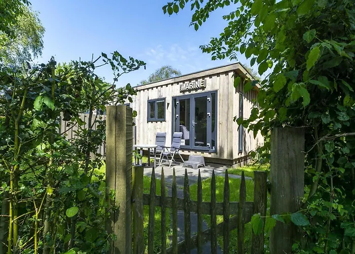 In Texel Near And Forest Sint Maartensvlotbrug